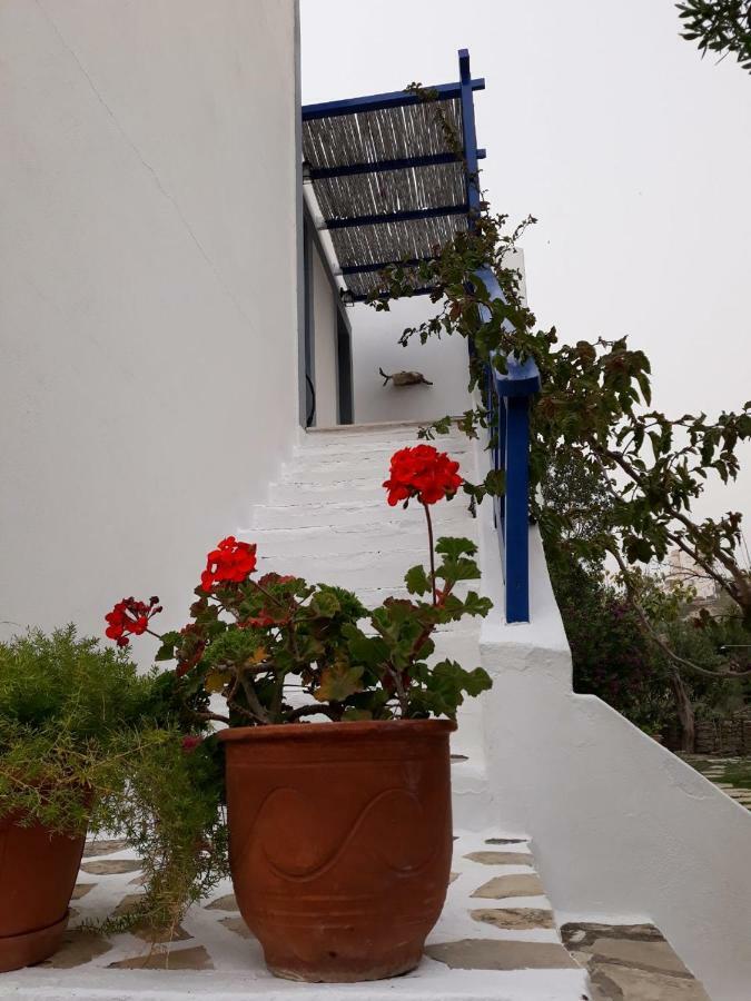 Aloni Διαμέρισμα Καμηλάρι Εξωτερικό φωτογραφία